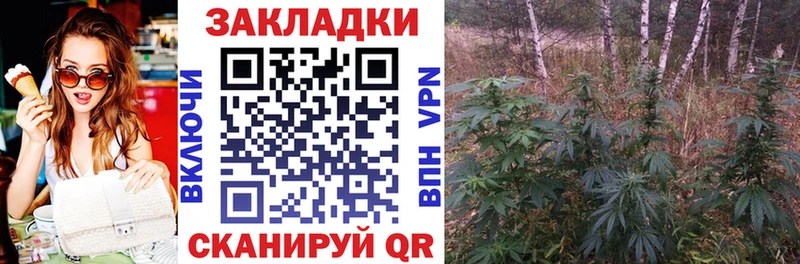 Цена Нефтекумск Кокаин МЕФ APVP БУТИРАТ ГАШИШ Каннабис Псилоцибиновые грибы