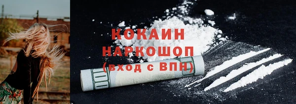 крисы Новодвинск